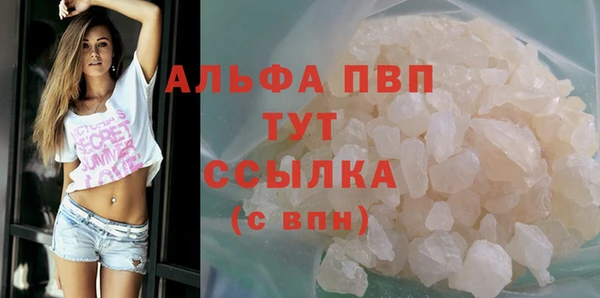 стафф Россошь