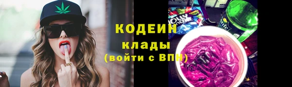 стафф Россошь