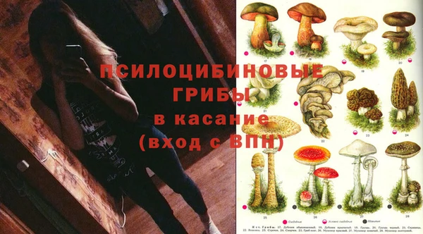 каннабис Ростов