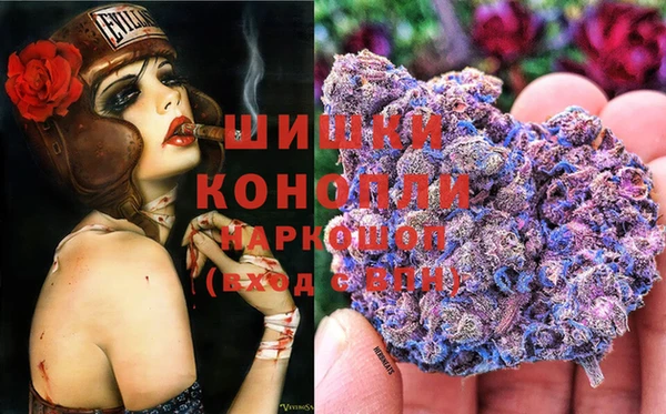 стафф Россошь